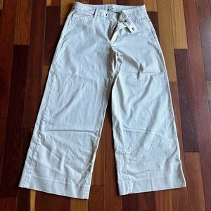 Banana Republic Cream Chinos for Men